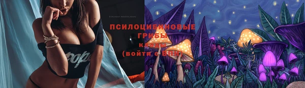 spice Заводоуковск