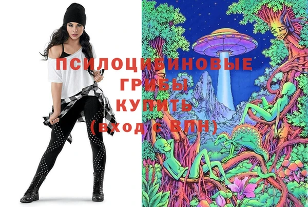 spice Заводоуковск