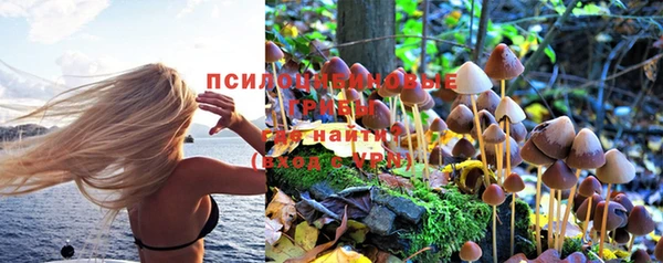 экстази Заволжск