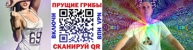 Купить где  Петровск-Забайкальский  Псилоцибиновые грибы мухоморы 